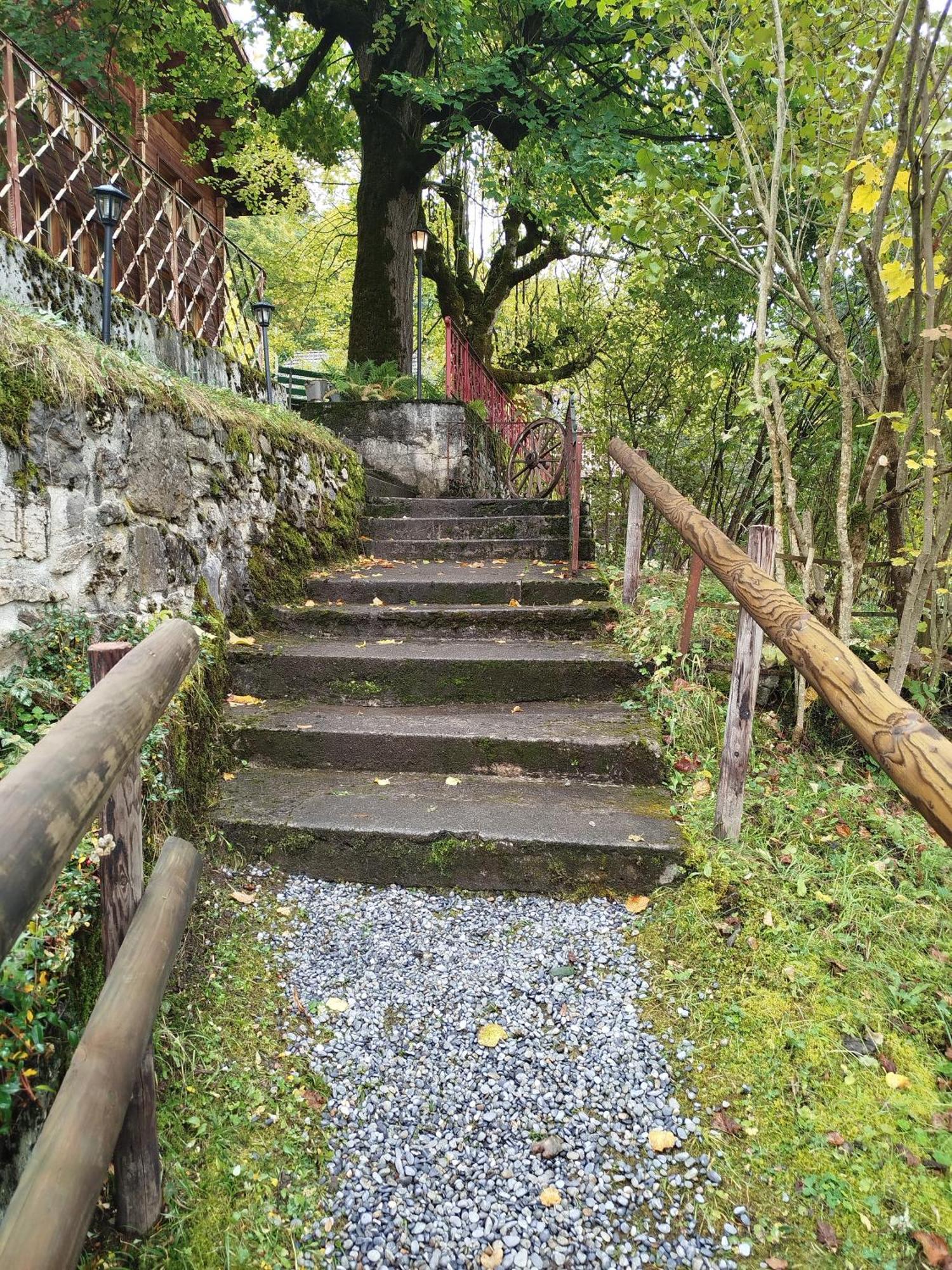 Sonnenhof Wengen - First Hotel Of Венген Экстерьер фото